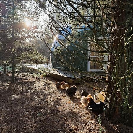Stay Classy - Domes Otterlo Exterior photo