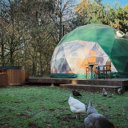 Stay Classy - Domes Otterlo Exterior photo